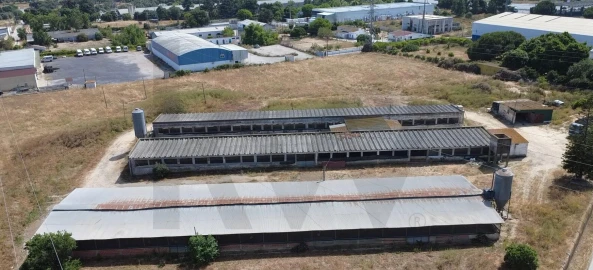 Terreno para Venda em Palmela