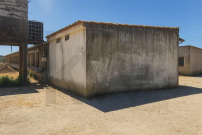 Terreno para Venda em Palmela
