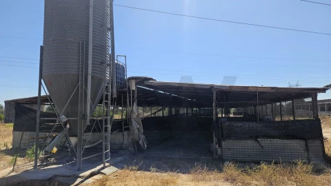 Terreno para Venda em Palmela