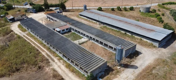 Terreno para Venda em Palmela