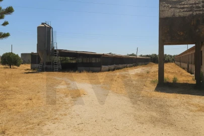 Terreno para Venda em Palmela