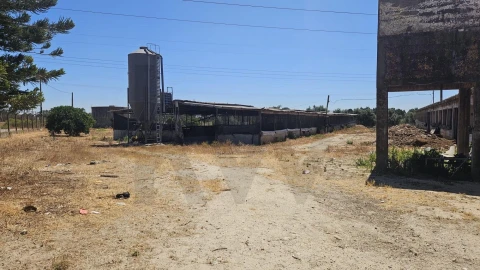 Terreno para Venda em Palmela