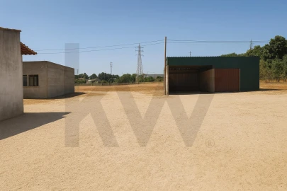 Terreno para Venda em Palmela