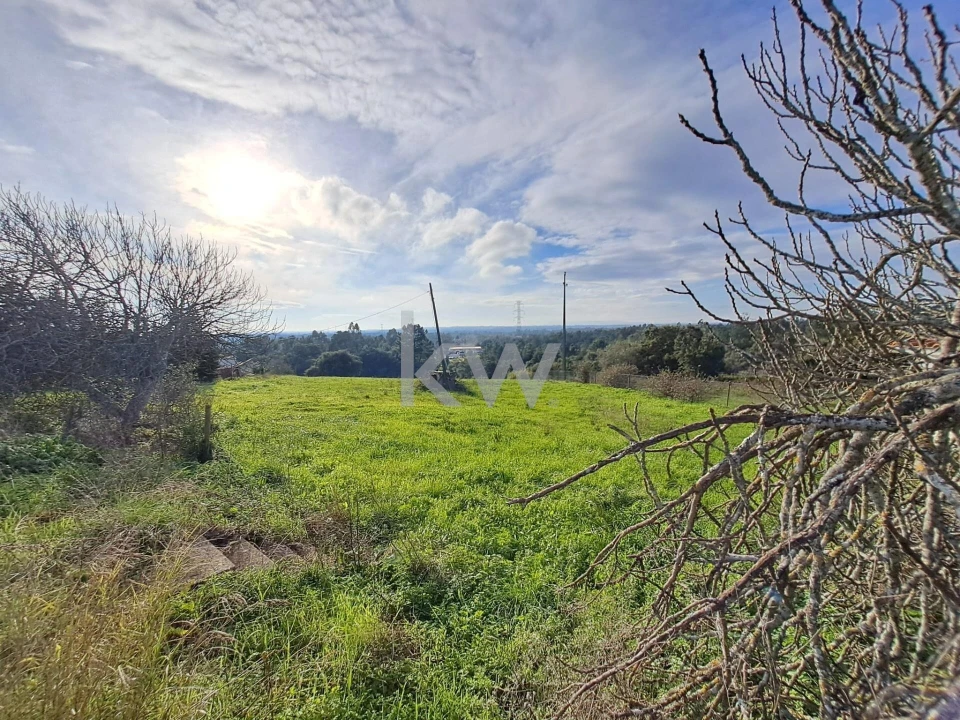 Quinta T2 para Venda em Povoa da Isenta Foto 3