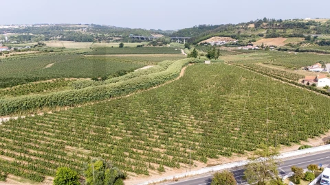 Moradia T3 para Venda em Santa Maria, São Pedro e Sobral da Lagoa