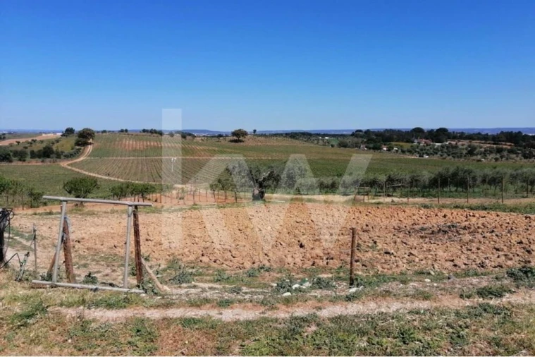 Quinta T8 para Venda em Brogueira, Parceiros de Igreja e Alcorochel Foto 24