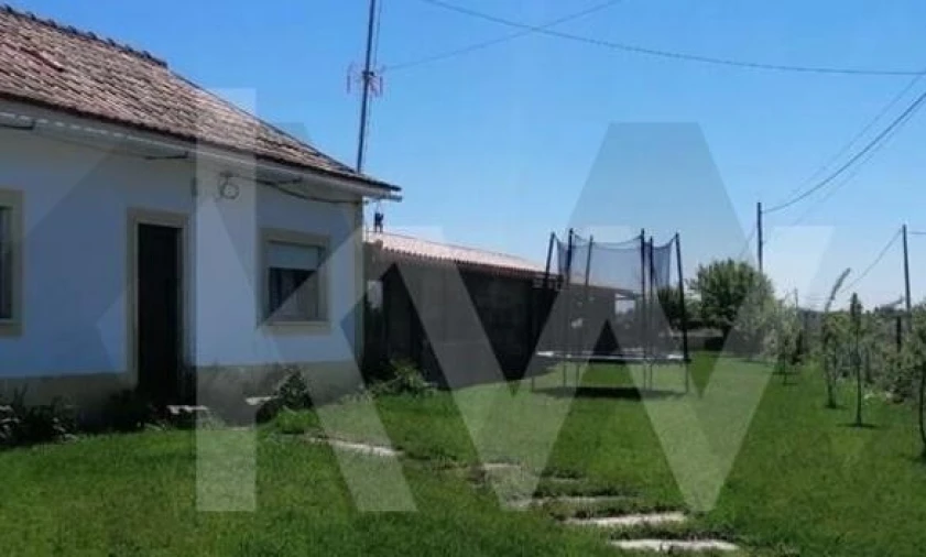 Quinta T8 para Venda em Brogueira, Parceiros de Igreja e Alcorochel Foto 27