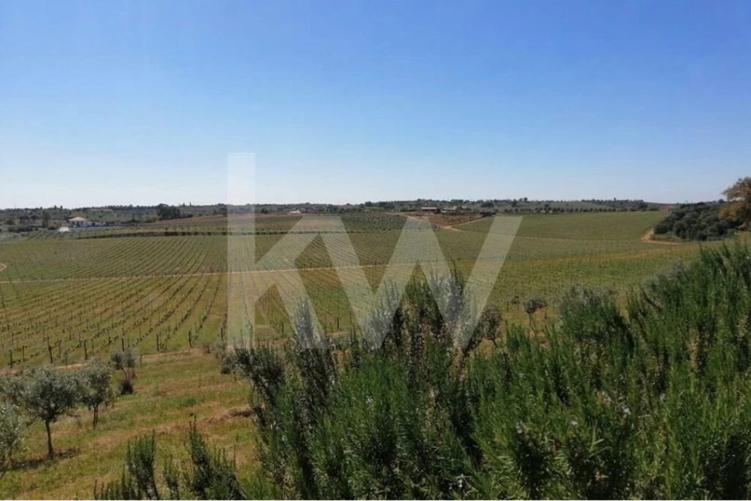 Quinta T8 para Venda em Brogueira, Parceiros de Igreja e Alcorochel Foto 13