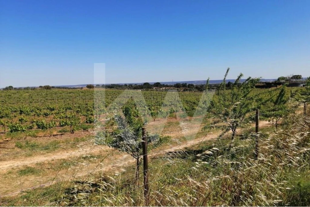 Quinta T8 para Venda em Brogueira, Parceiros de Igreja e Alcorochel Foto 21