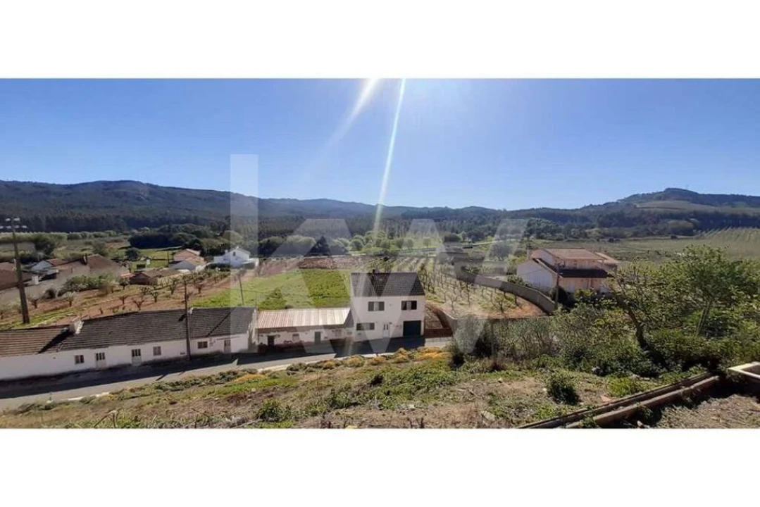 Terreno para Venda em Lamas e Cercal Foto 5