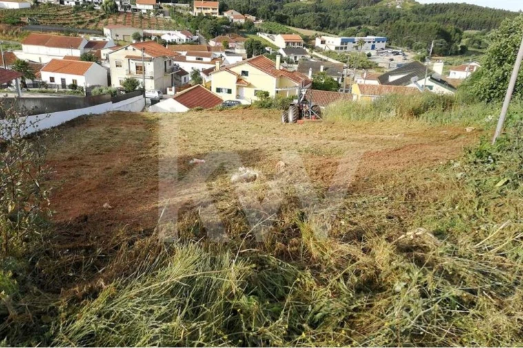Terreno para Venda em Lamas e Cercal Foto 2