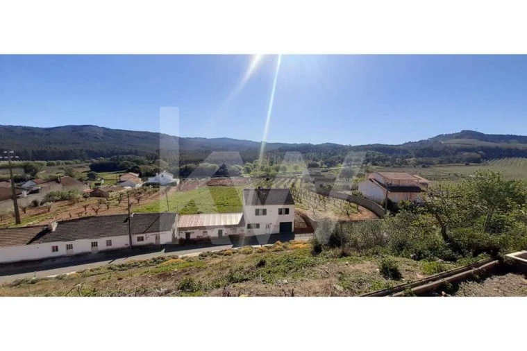 Terreno para Venda em Lamas e Cercal Foto 5