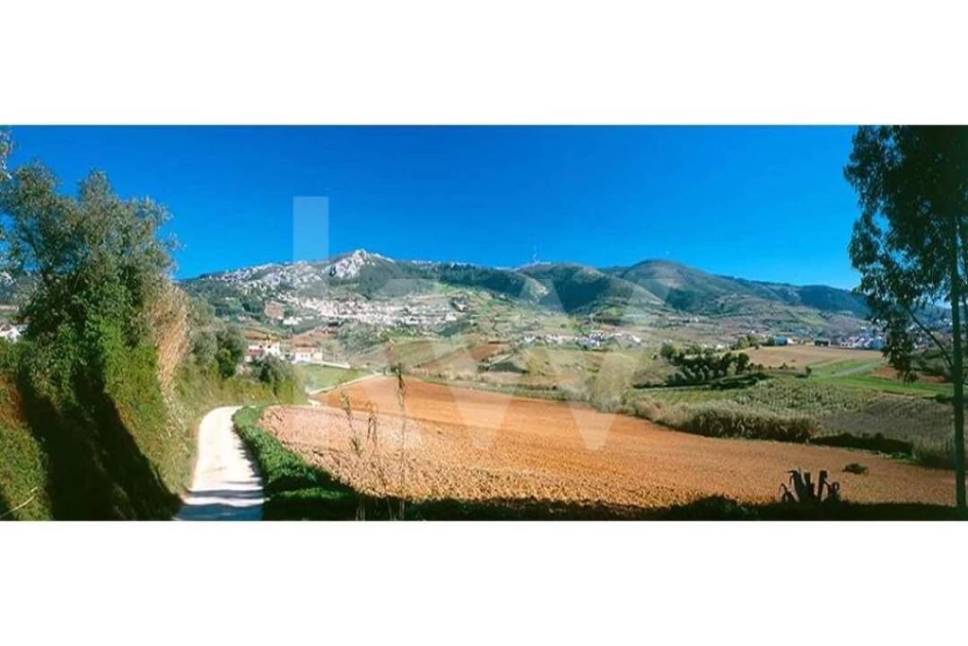 Terreno para Venda em Lamas e Cercal Foto 15