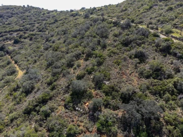 Terreno para Venda em Santa Barbara de Nexe