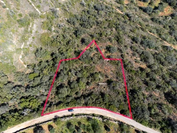Terreno para Venda em Santa Barbara de Nexe