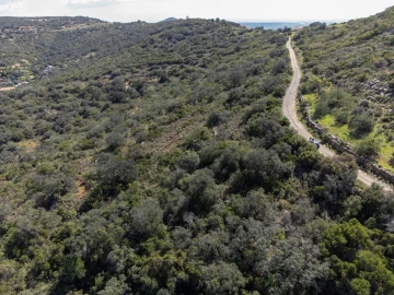 Terreno para Venda em Santa Barbara de Nexe