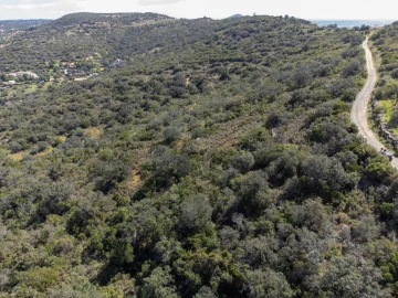 Terreno para Venda em Santa Barbara de Nexe