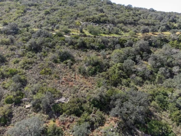 Terreno para Venda em Santa Barbara de Nexe