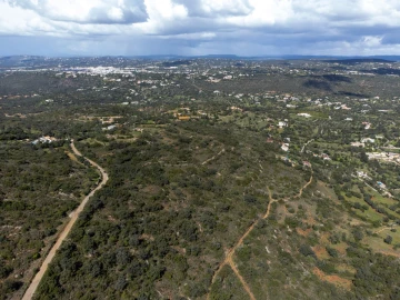 Terreno para Venda em Santa Barbara de Nexe