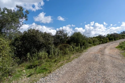 Terreno para Venda em Santa Barbara de Nexe