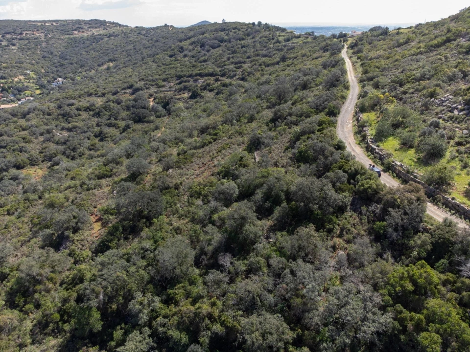 Terreno para Venda em Santa Barbara de Nexe Foto 6