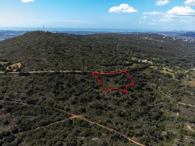 Terreno para Venda em Santa Barbara de Nexe Foto 4