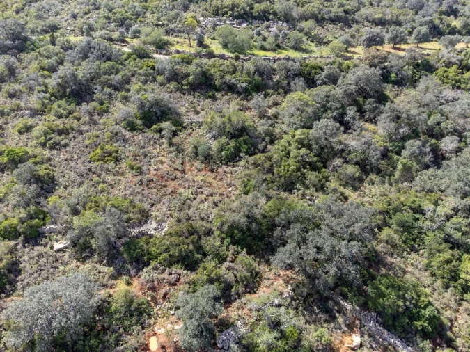Terreno para Venda em Santa Barbara de Nexe Foto 8