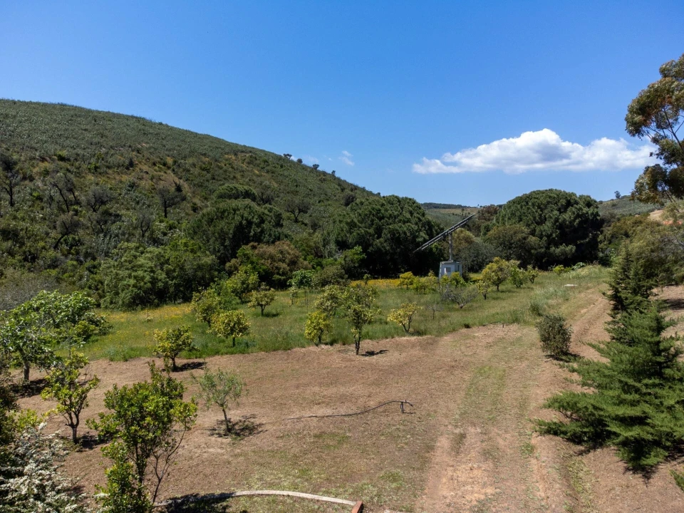 Quinta T2 para Venda em Mexilhoeira Grande Foto 41