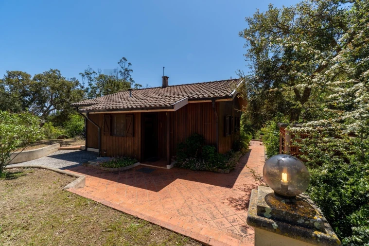 Quinta T2 para Venda em Mexilhoeira Grande Foto 45