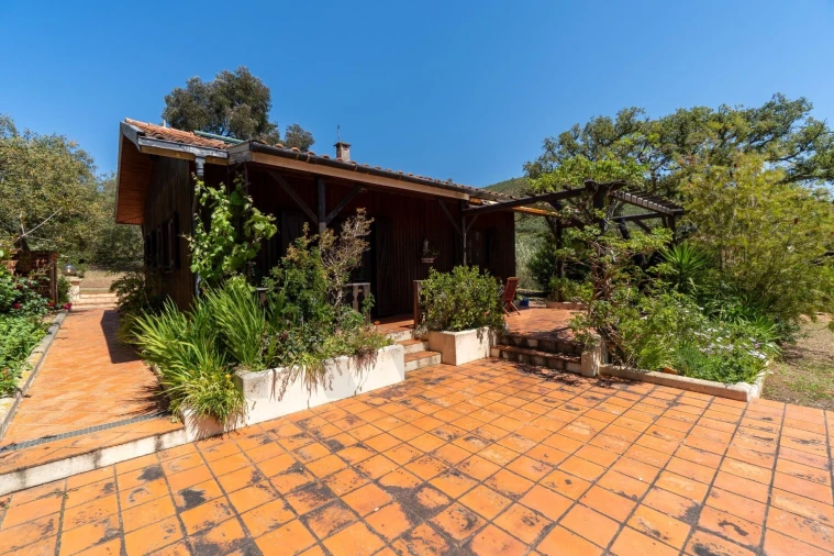 Quinta T2 para Venda em Mexilhoeira Grande Foto 46