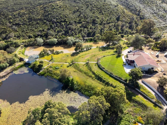 Quinta T2 para Venda em Mexilhoeira Grande Foto 56