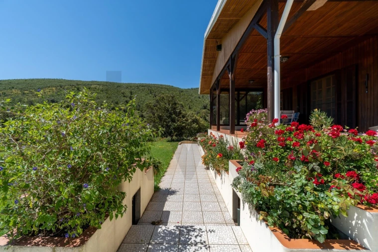 Quinta T2 para Venda em Mexilhoeira Grande Foto 36