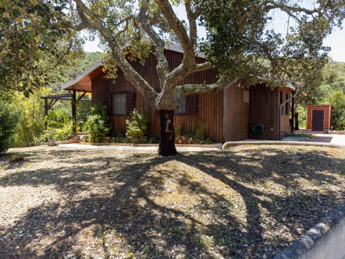 Quinta T2 para Venda em Mexilhoeira Grande Foto 7