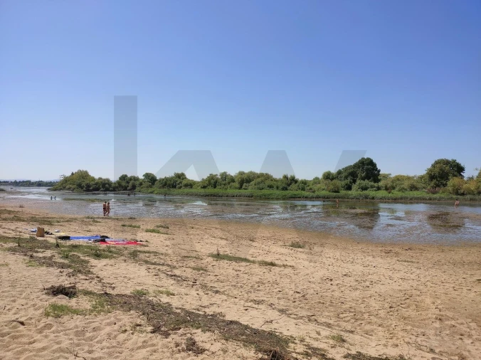 Terreno para Venda em Azambuja Foto 7