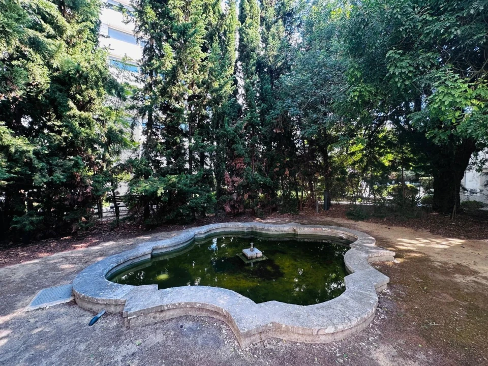 Escritório para Venda em Lumiar Foto 8