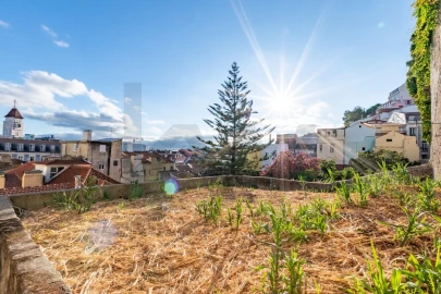 Apartamento T3 para Arrendamento em Misericórdia