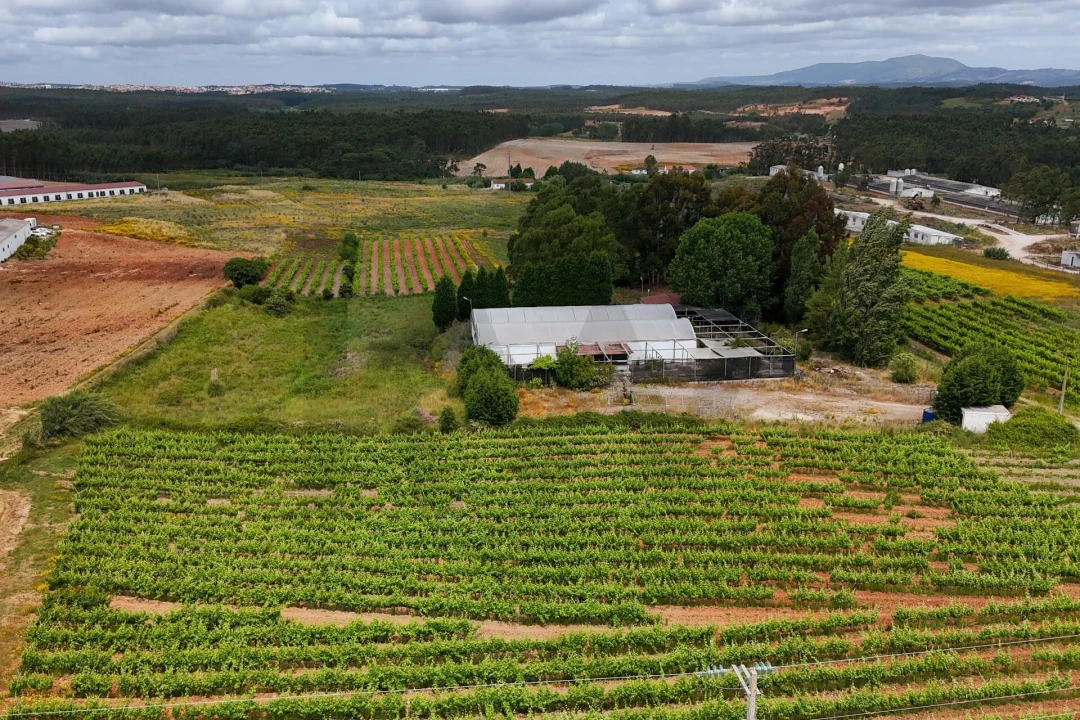 Terreno para Venda em Campelos e Outeiro da Cabeça Foto 6