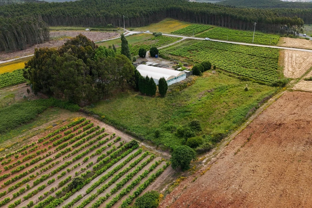 Terreno para Venda em Campelos e Outeiro da Cabeça Foto 4