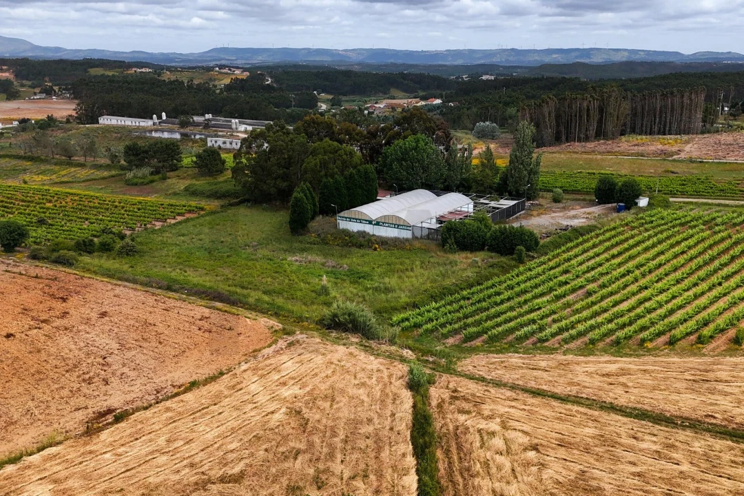 Terreno para Venda em Campelos e Outeiro da Cabeça Foto 5
