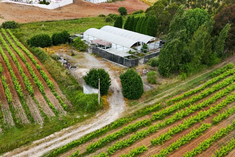 Terreno para Venda em Campelos e Outeiro da Cabeça Foto 1