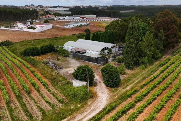 Terreno para Venda em Campelos e Outeiro da Cabeça Foto 7