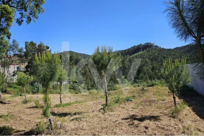 Terreno para Venda em Brasfemes
