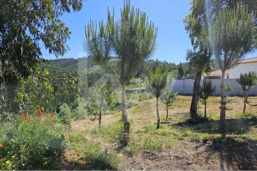 Terreno para Venda em Brasfemes Foto 4
