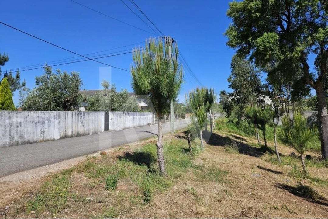 Terreno para Venda em Brasfemes Foto 3