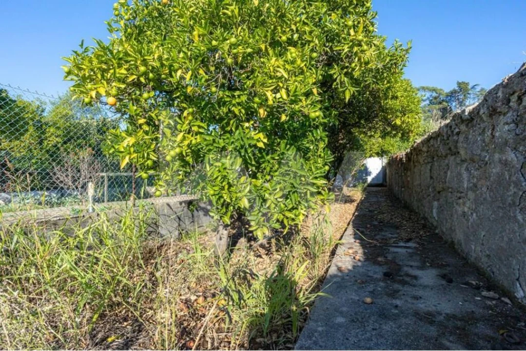 Moradia T4 para Venda em Cernache Foto 40