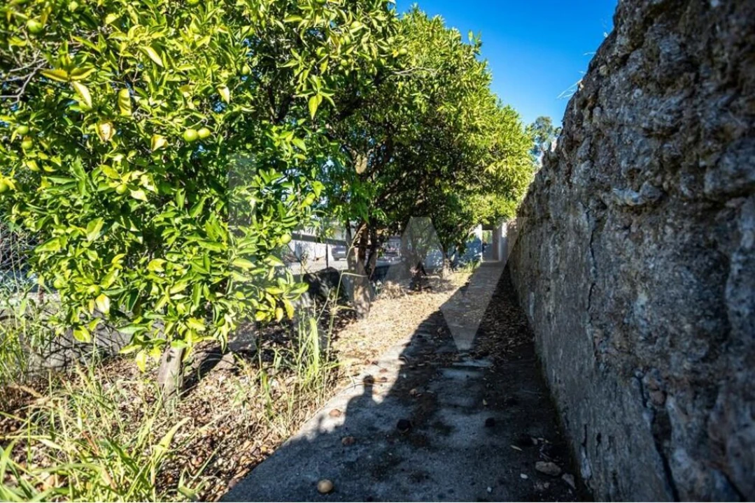 Moradia T4 para Venda em Cernache Foto 35