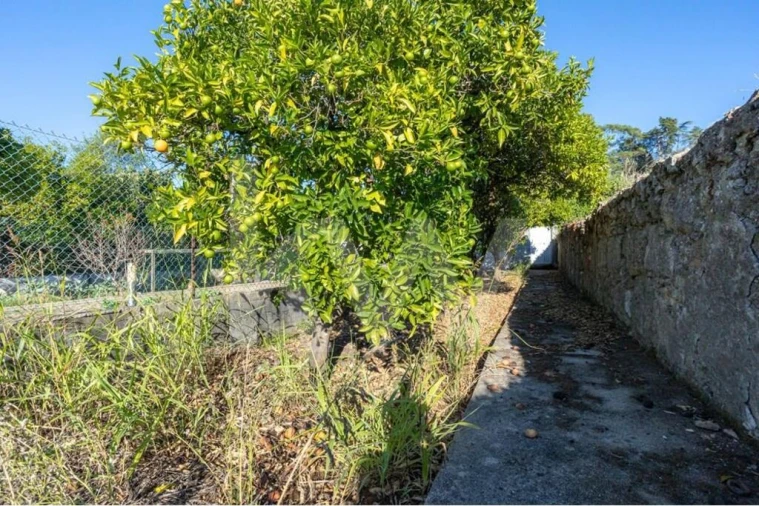 Moradia T4 para Venda em Cernache Foto 40