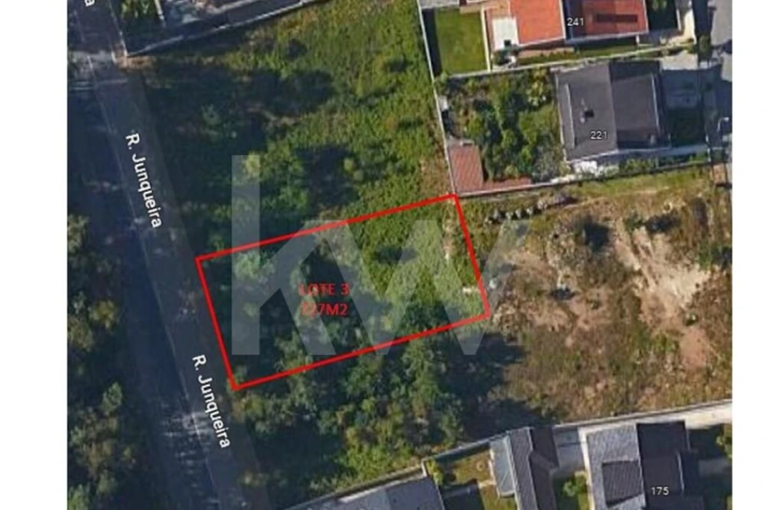 Terreno para Venda em Caldas de São Jorge e Pigeiros Foto 1