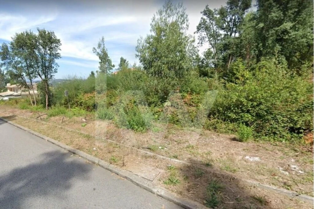 Terreno para Venda em Caldas de São Jorge e Pigeiros Foto 2