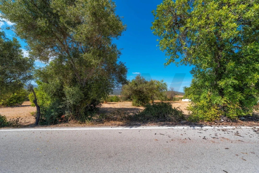 Terreno para Venda em Paderne Foto 62